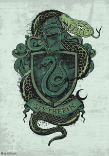 Plagát Harry Potter - Slytherin Poster 1